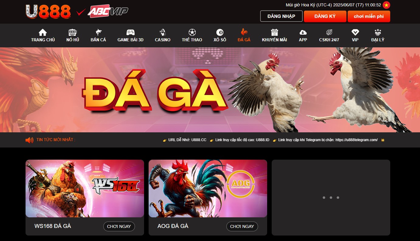 đá gà u888